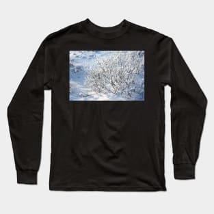 Hoarfrost on Arctic Willow Long Sleeve T-Shirt